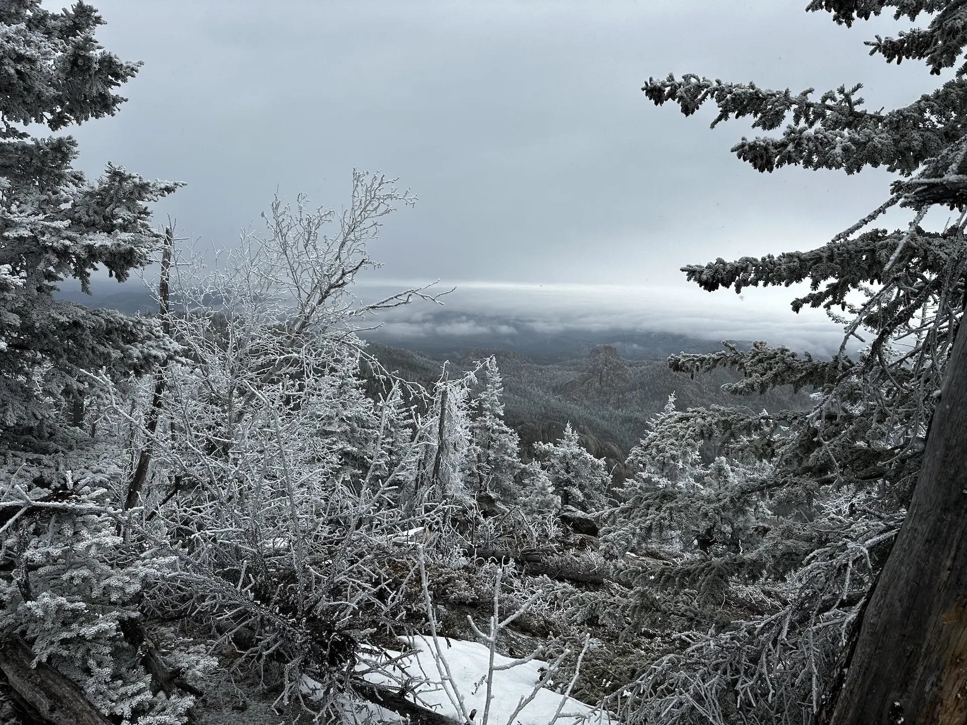 Conquest Through Law